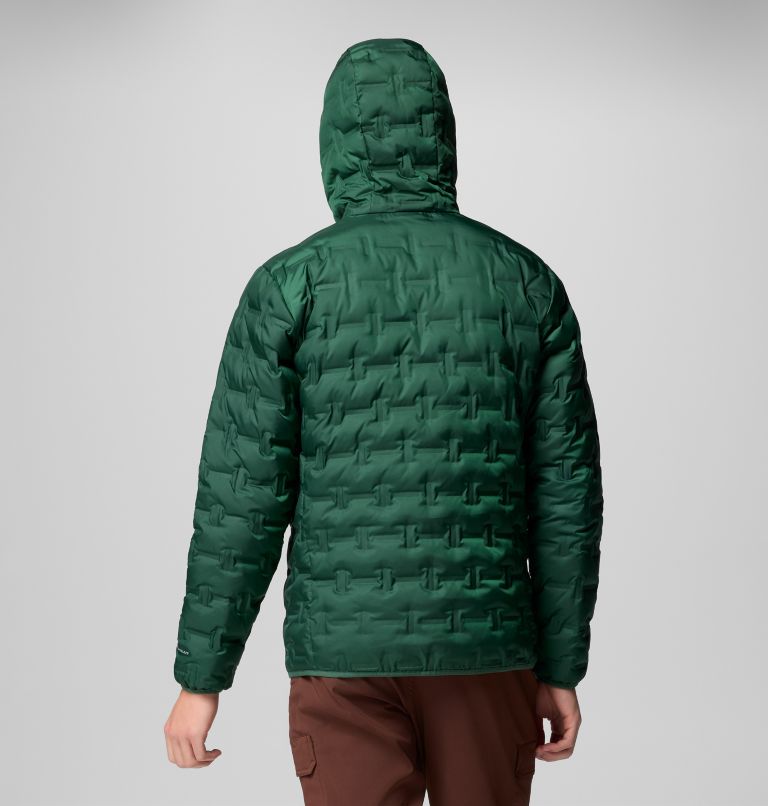 Men's Delta Ridge Down Hooded Jacket, Color: Rain Forest, image 9