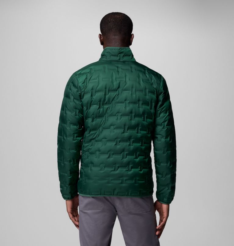 Men's Delta Ridge II Down Jacket, Color: Rain Forest, image 3