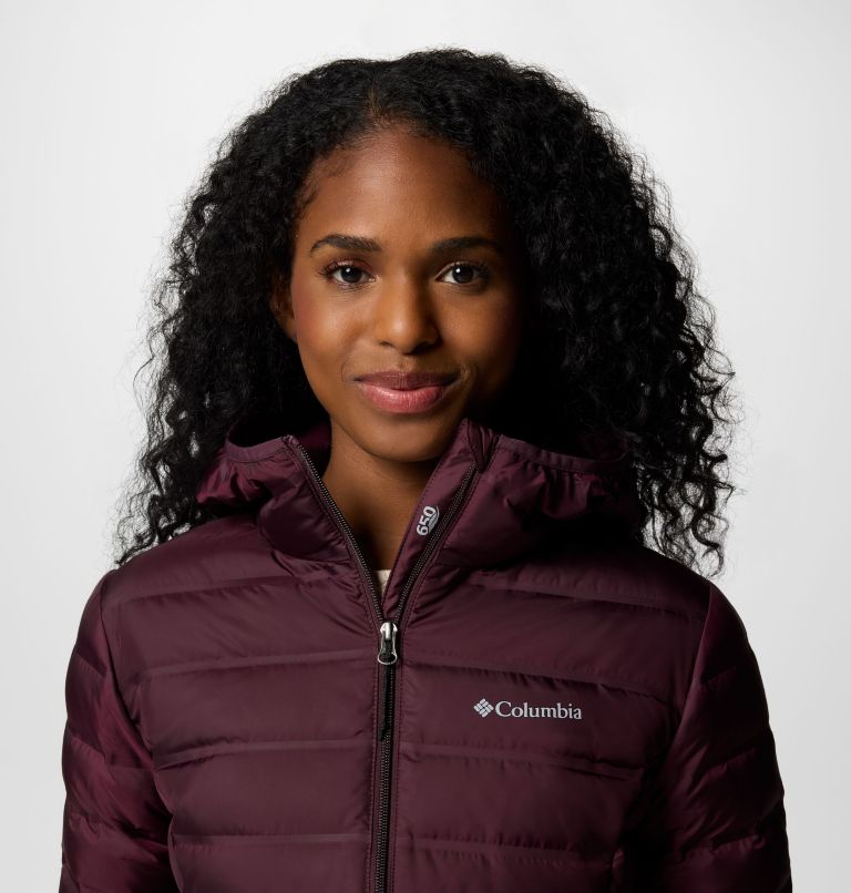 Women's Lake 22 II Down Hooded Jacket, Color: Moonvista, image 4