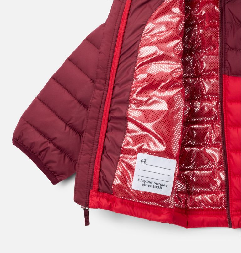Boys' Toddler Powder Lite II Hooded Jacket, Color: Mountain Red, Rich Wine, image 3