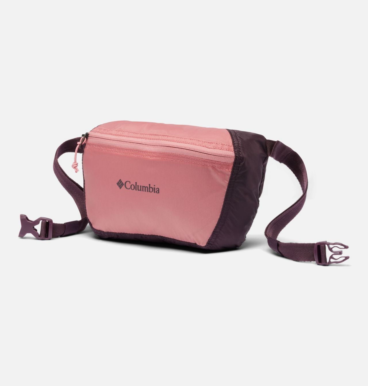 Lightweight Packable Hip Pack 1