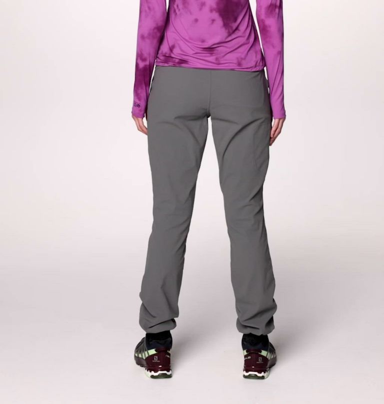 Women's Dynama Pant, Color: Sediment
