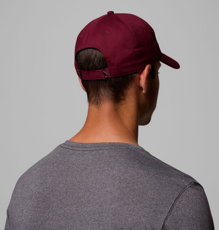 Provisions Ball Cap, Color: Rich Wine, Woven Bear, image 4