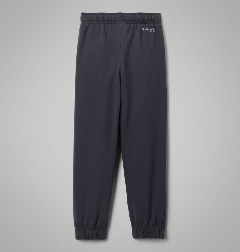 Boys' PFG Sweatpants, Color: Shark, image 2