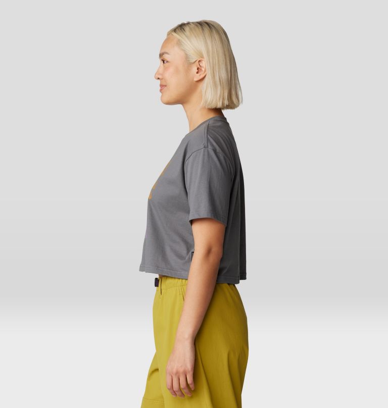 Women's Landmark Boxy Crop Short Sleeve, Color: Sediment, image 3