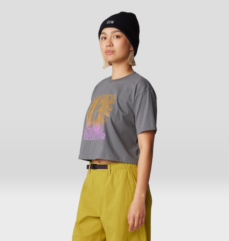 Women's Landmark Boxy Crop Short Sleeve, Color: Sediment, image 5