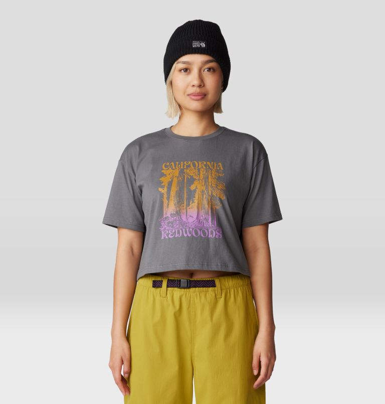 Women's Landmark Boxy Crop Short Sleeve, Color: Sediment, image 1