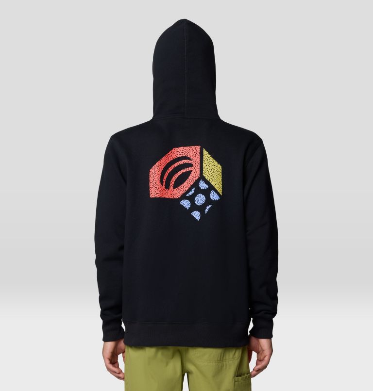 Hoodie Hardwear Tri-Color Logo, Color: Black, image 3