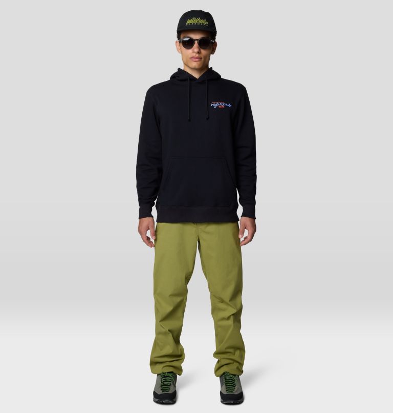 Hoodie Hardwear Tri-Color Logo, Color: Black, image 2