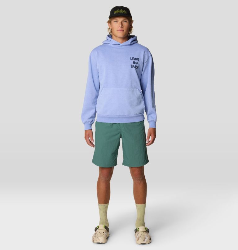 Unisex Extra Vitamins Hoody | 536 | XL, Color: Light Illusion, image 2