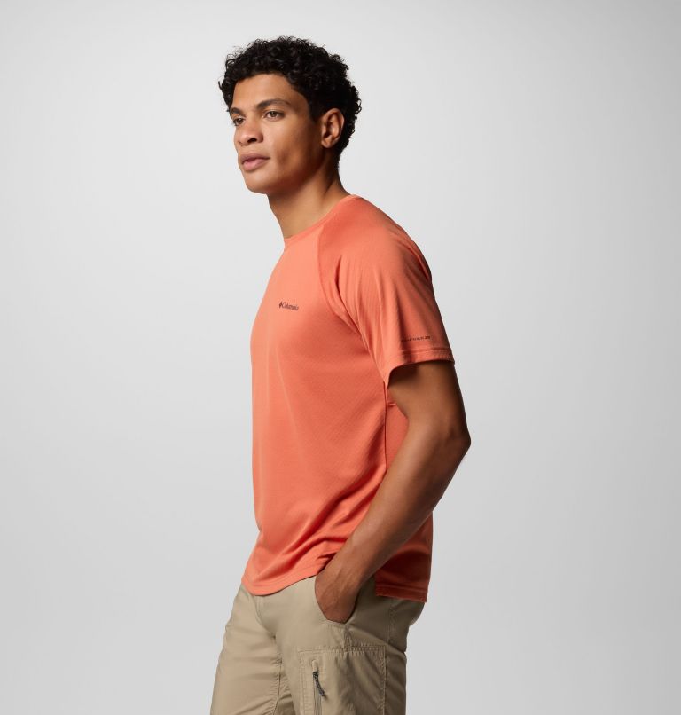 Men's Alpine Chill Pro Technical T-Shirt, Color: Tuscan, image 3