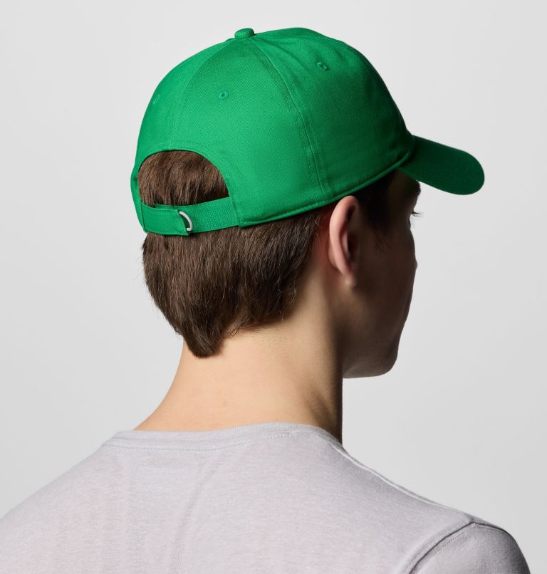 Collegiate Provisions Ball Cap | 345 | O/S, Color: UO - Fuse Green, image 3