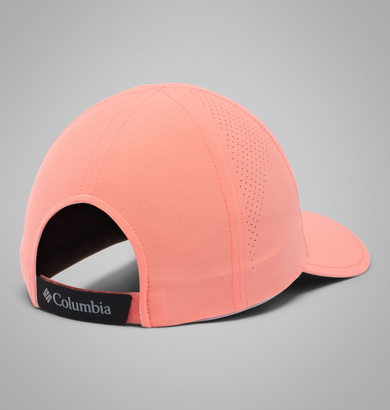 Silver Ridge™ IV Ball Cap 2