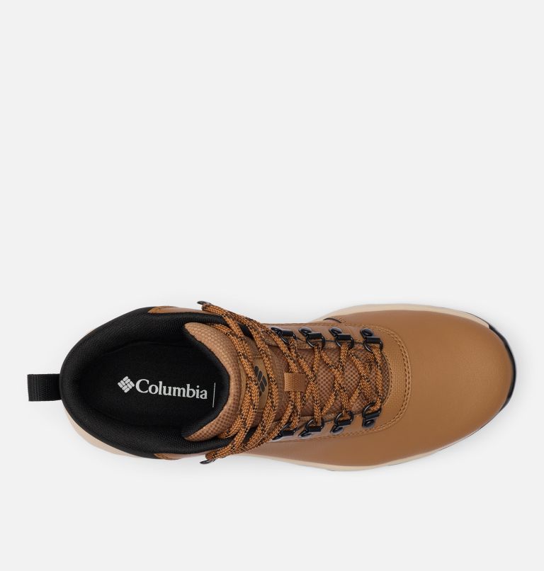 Homme Botte Newton Wander LTR, Color: Elk, Black, image 4