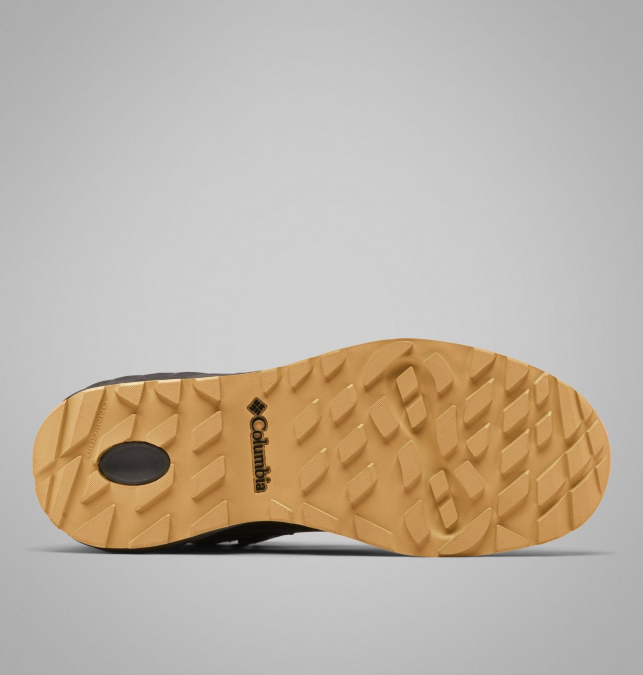 Men's Newton Alpine PT™ Boot