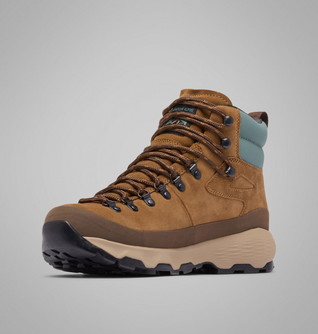 Men's Newton Alpine PT™ Boot | 234 | 9 7