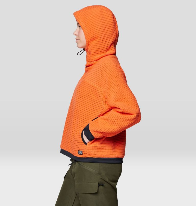 Women's Summit Grid Big Grid Hoody, Color: Aspect, image 3
