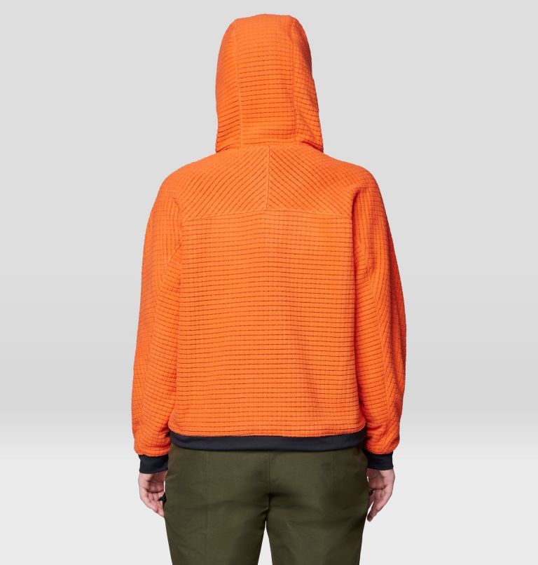 Women's Summit Grid Big Grid Hoody, Color: Aspect, image 2