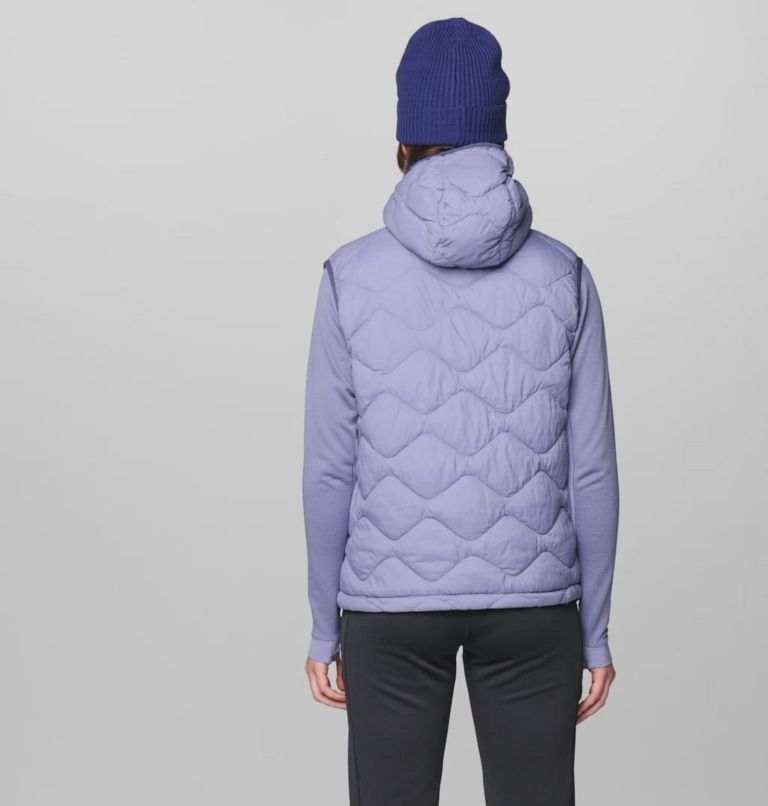 Women's Seek Out Snap Neck Vest, Color: Avid