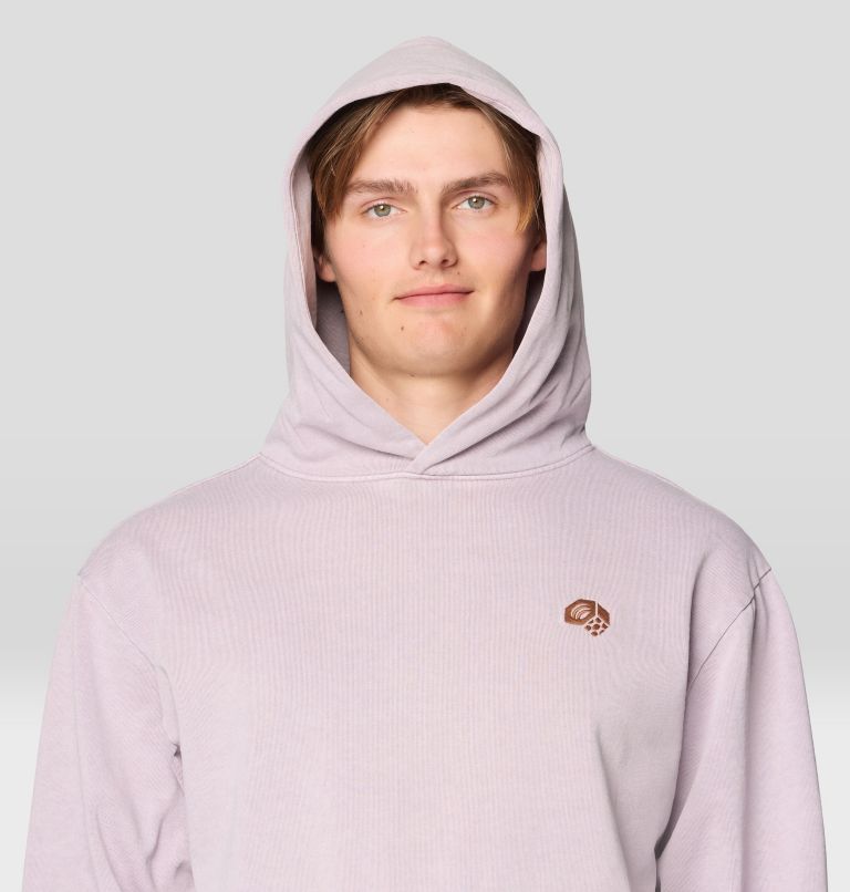 Men's Collab Graphic Hoody, Color: Atmospheric, image 5