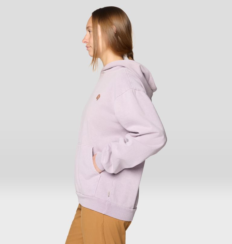 Men's Collab Graphic Hoody, Color: Atmospheric, image 8