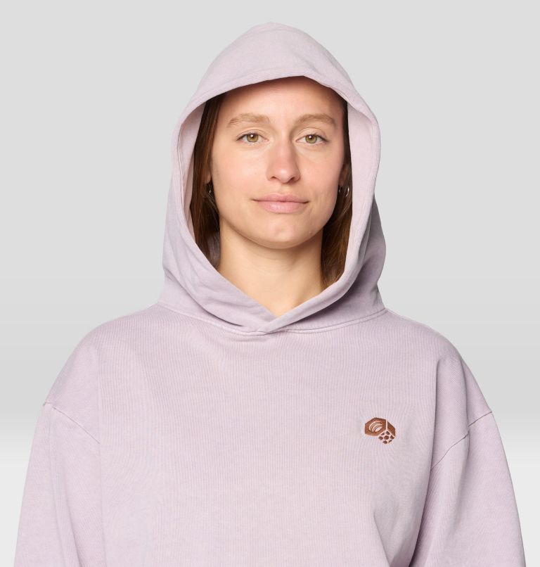Men's Collab Graphic Hoody, Color: Atmospheric, image 9