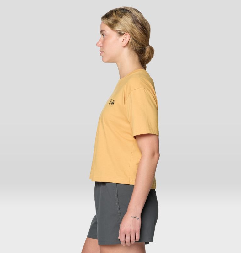 Women's MHW Box Logo Boxy Crop Short Sleeve, Color: Sundown Gold, image 3