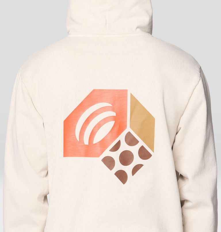 Men's Tri-Color Logo Garment Dyed Hoody, Color: Fossil, image 6