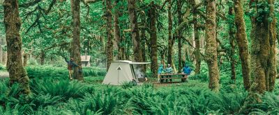 Three campers stand around a picnic table near a tent in a lush forest setting. 