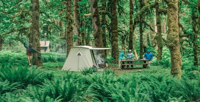 Enjoy proven, invisible protection in apparel with built-in Insect Shield™ technology