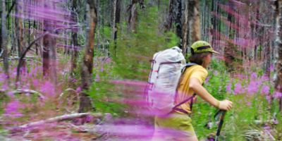 Backpacking through flower fields.