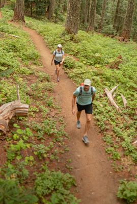 Hikers on a trail