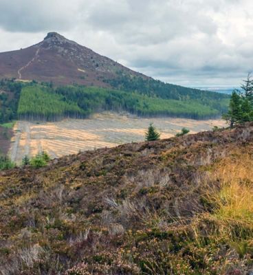 BENNACHIE
