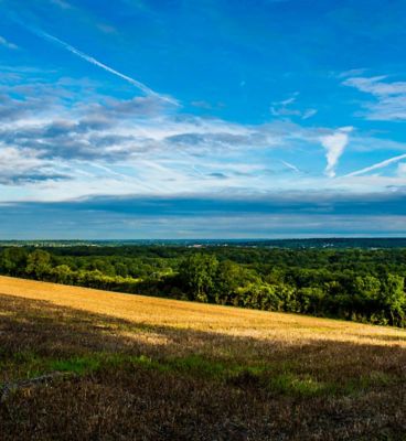 DARENT VALLEY KENT