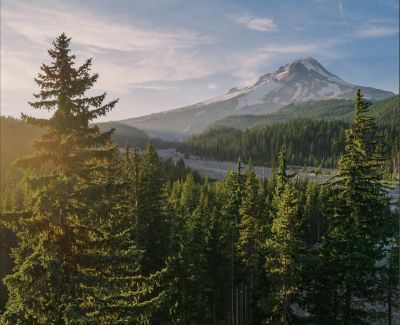 The Mt. Hood wilderness, featuring evergreen forests and a river.