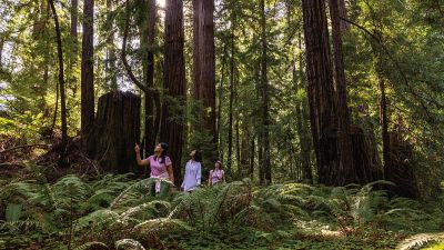 Video of younger, happy hikers blazing through a Pacific Northwest wooded area with waterfalls and beautiful vistas.
