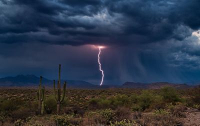 Vast desert landscape with saguaro cactus and creosote in foreground and ragged mountains behind. The skies are black with angry clouds and the scene is illuminated with a brilliant bolt of lightning striking the earth. 