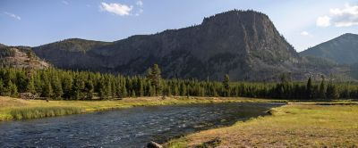 A towering butte rises above a pine forest, with a river cutting through a grassy meadow in the foreground.