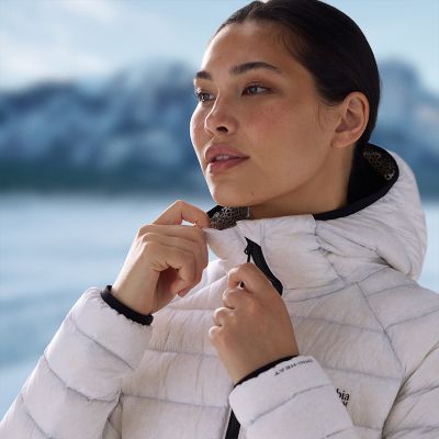 Close-up of Arctic Crest hood and chinguard