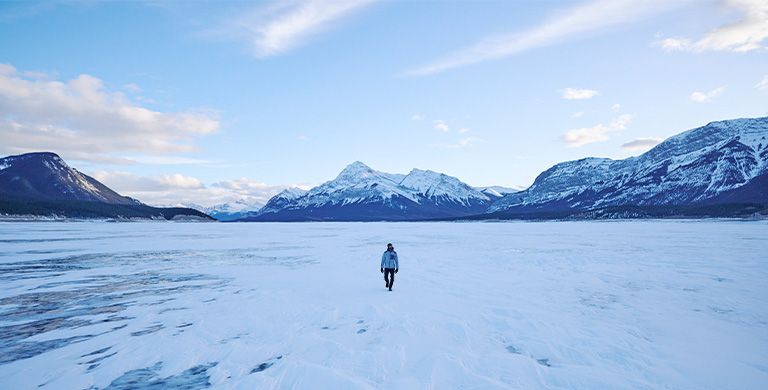 Apprenez-en davantage sur la manière dont les ours polaires ont inspiré la plus récente innovation de la technologie de réchauffement, Omni-Heat Arctic.