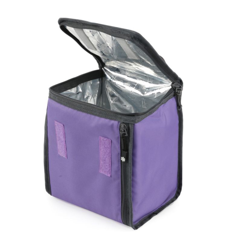 Clear insulated cooler bag deals