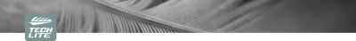 TechLite