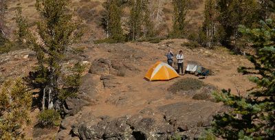 Pantalón de Montaña y Trekking Viaje de Hombre Forclaz Travel 100 Marrón -  Decathlon