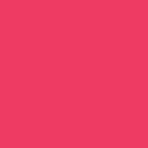 Red Camellia