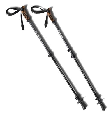 6160 Aluminum Trekking Poles - 2 Pack Trekking Poles Aluminum 2pc | 011 | O/S, Black, front