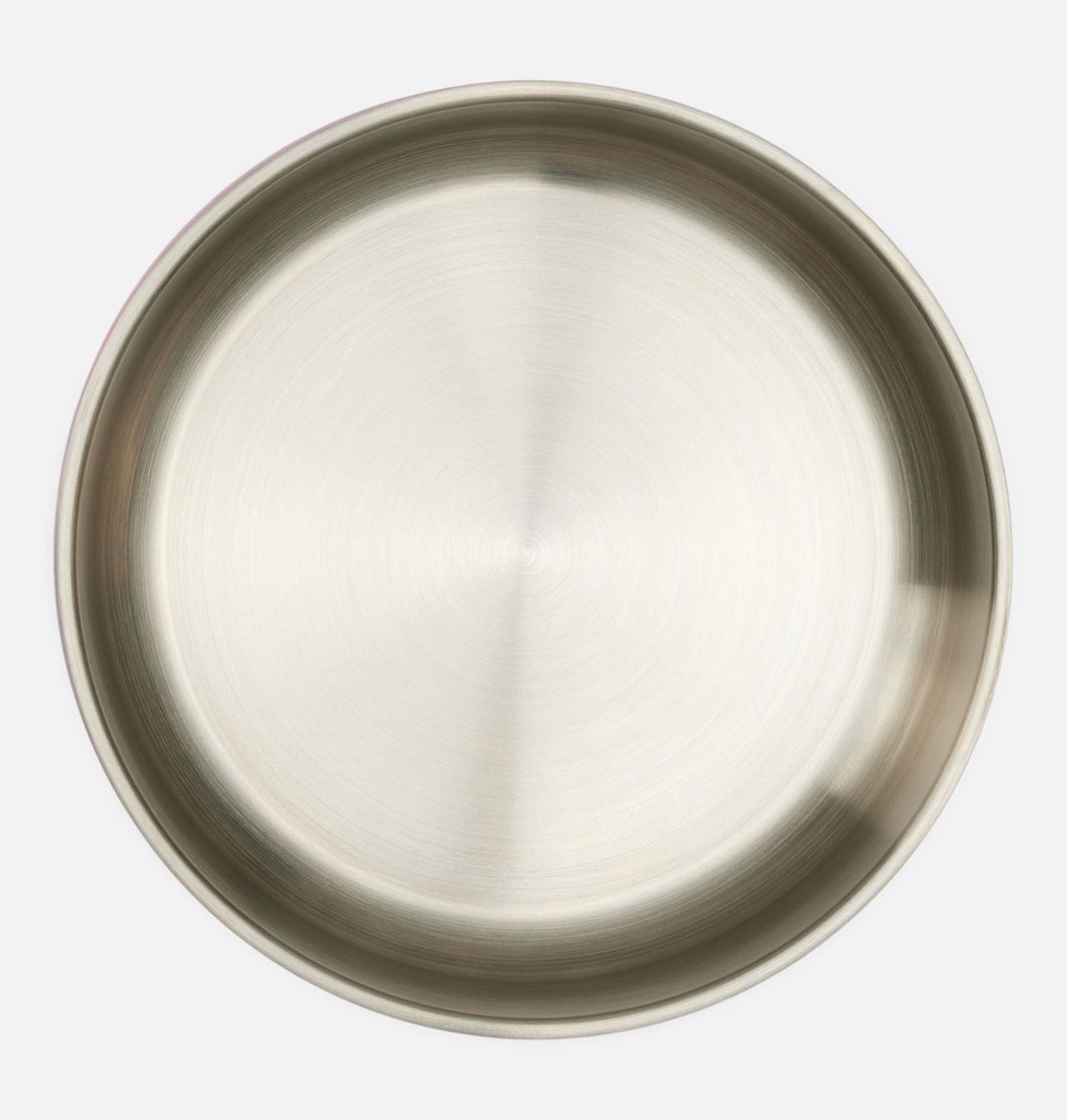 Stainless Steel Double Wall Dog Bowl - Large 3