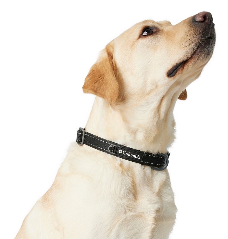 Silver Ridge Dog Collar, Color: Black, image 3
