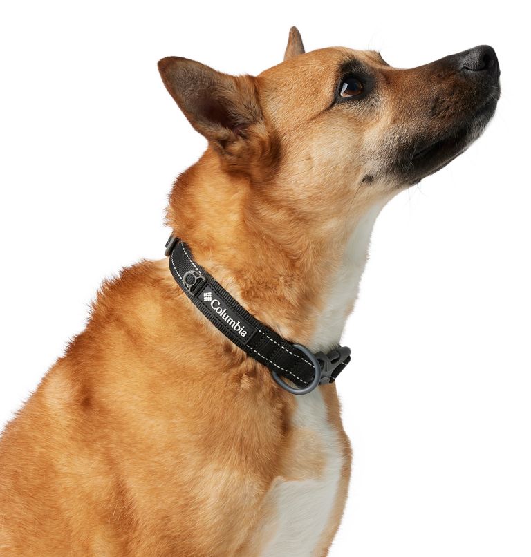 Silver Ridge Dog Collar, Color: Black, image 2