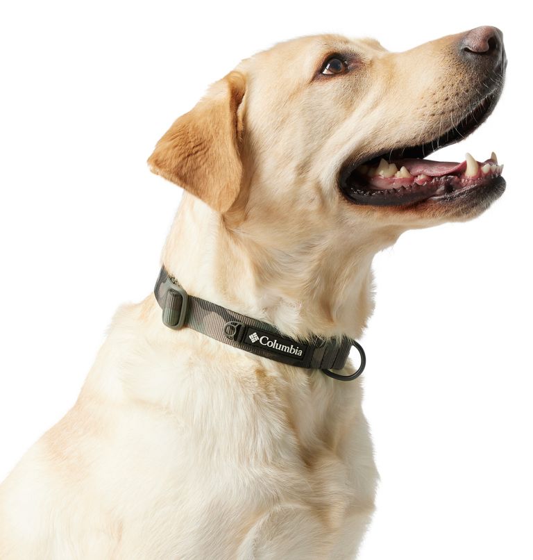 Silver Ridge Dog Collar, Color: Camo, image 2