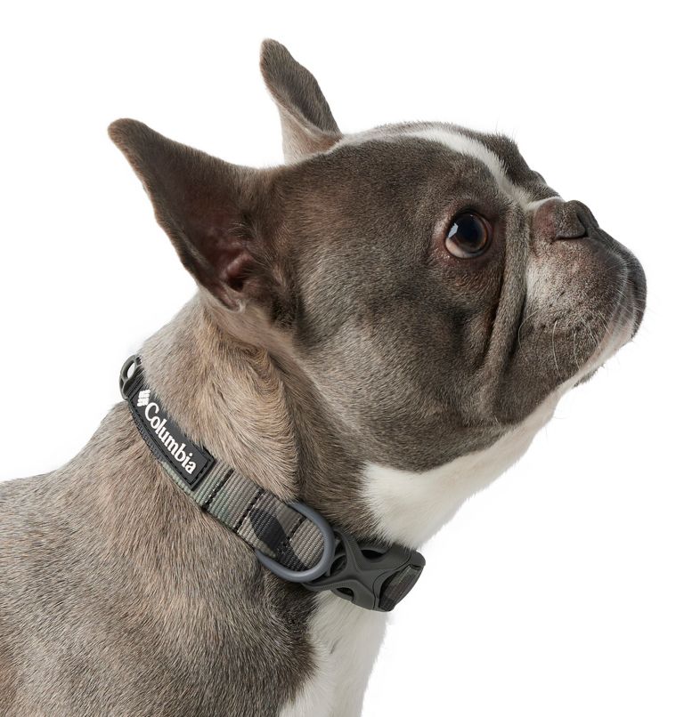 Silver Ridge Dog Collar, Color: Camo, image 1